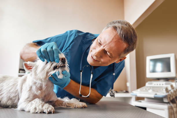 Best Emergency Tooth Extraction in West Falls Church, VA